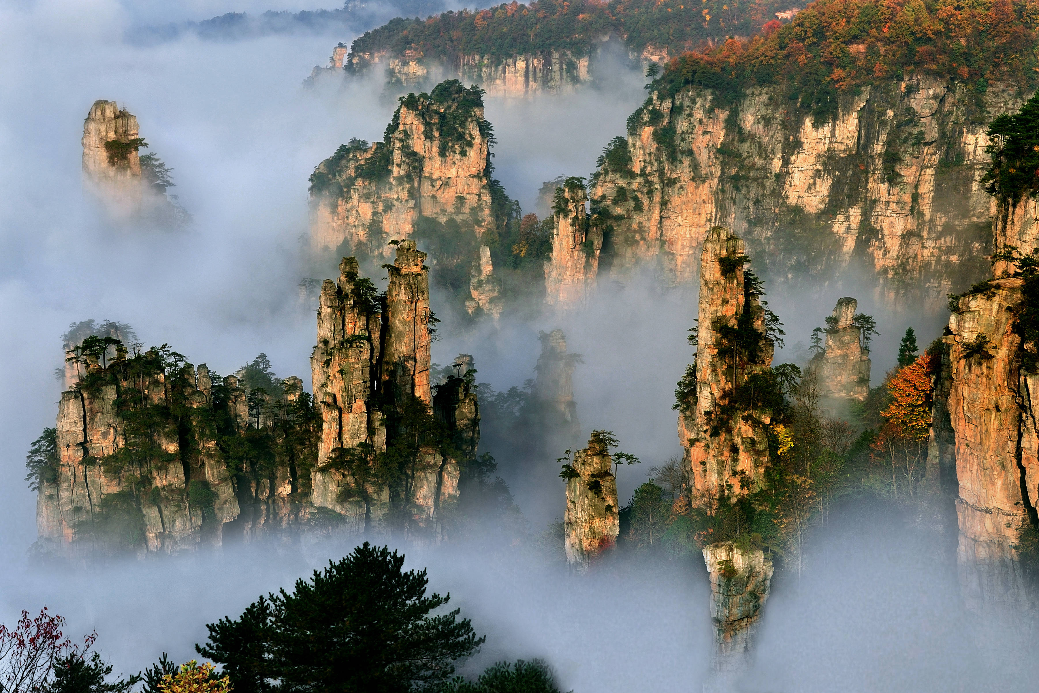 老人去张家界适合吗？银发族旅游指南 - 逸游假期